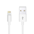 Lightning Cable